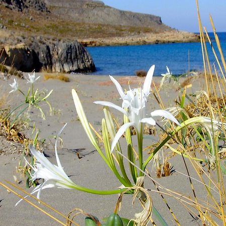 Olive Coast Suites Palékasztro Kültér fotó