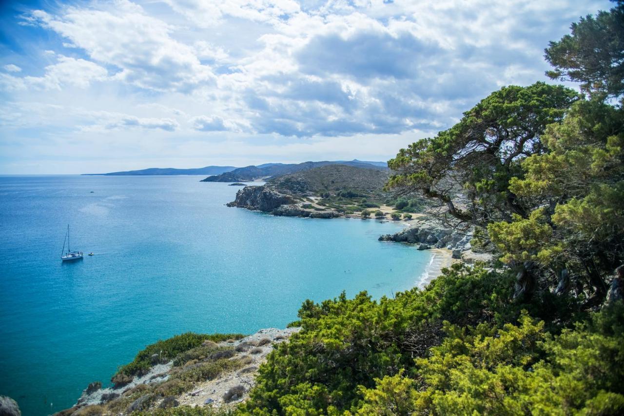 Olive Coast Suites Palékasztro Kültér fotó