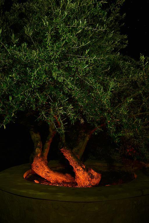 Olive Coast Suites Palékasztro Kültér fotó